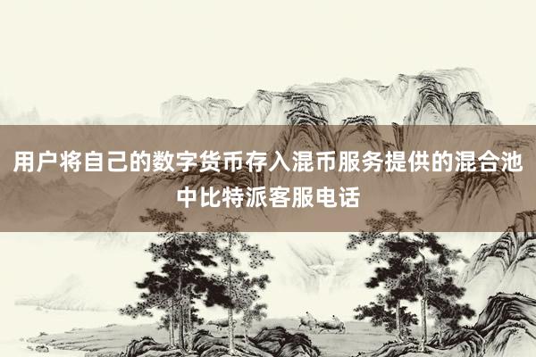 用户将自己的数字货币存入混币服务提供的混合池中比特派客服电话