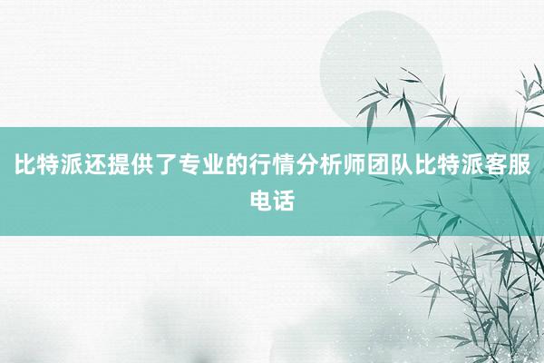 比特派还提供了专业的行情分析师团队比特派客服电话