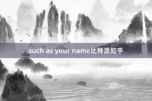 such as your name比特派知乎