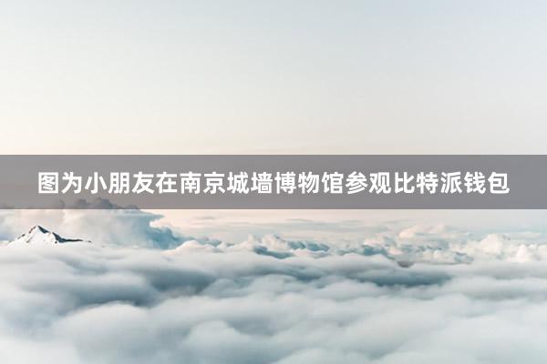 图为小朋友在南京城墙博物馆参观比特派钱包