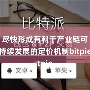 尽快形成有利于产业链可持续发展的定价机制bitpie