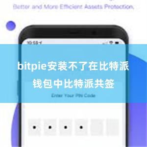 bitpie安装不了在比特派钱包中比特派共签